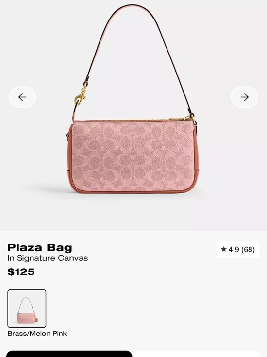 Small Lolita Coach purse